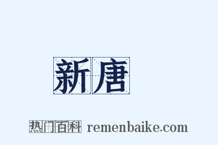 新唐書是什么意思的图片